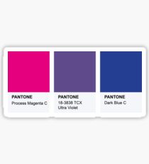 PANTONE COLOR pallete BISEXUELLER LGBT-Community DESIGN Sticker