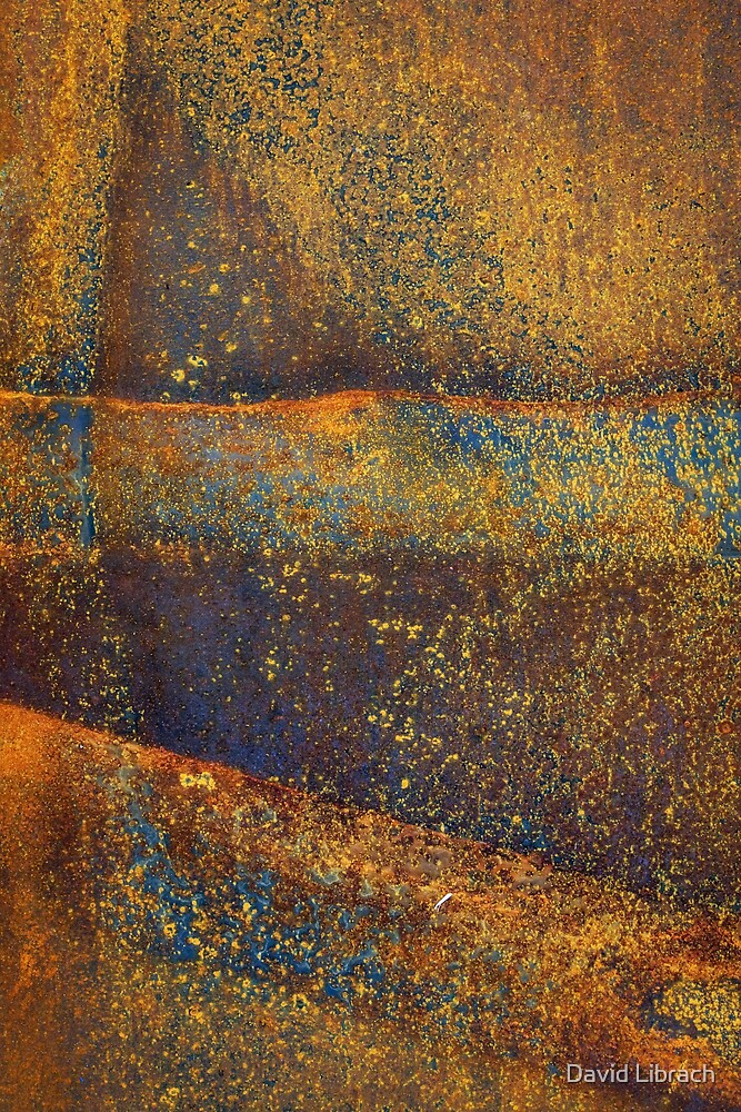 "Rusted Landscape" by David Librach Redbubble