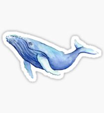 Pegatina Pegatina de ballena