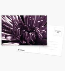 Unfold Postcards