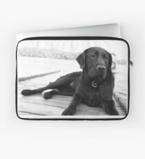 Black Lab Laptop Sleeve