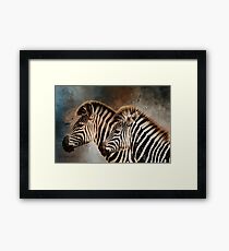 Plains Zebras Framed Print