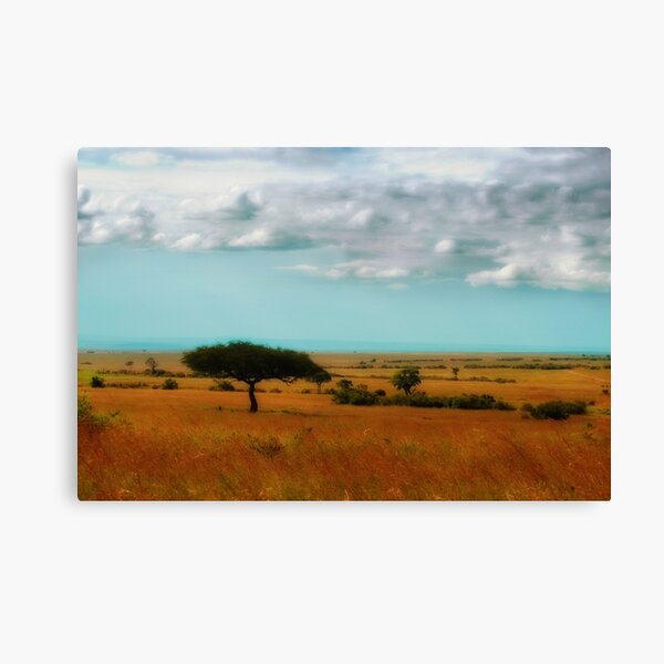 Wonder of the Mara Canvas Print