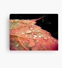 Droplet Canvas Print