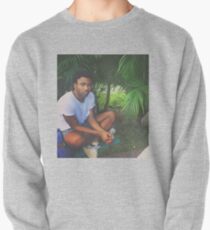 Sudadera cerrada 1 coolie CG