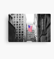 USA alley Canvas Print