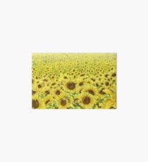 Sunflowers Art Board