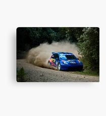 Dusty Guest Canvas Print