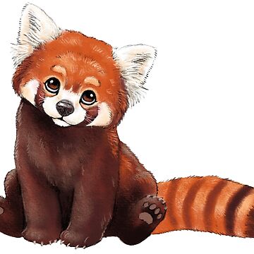 How to Draw a Red Panda - Really Easy Drawing Tutorial | Drawing tutorial  easy, Panda drawing, Drawing tutorial