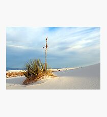 White Sands Evening Photographic Print