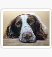 English Springer Spaniel Sticker