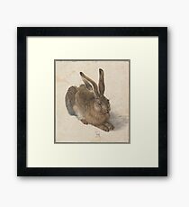 Albrecht Dürer - Young Hare 1502 Framed Print