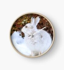 Reloj liebre