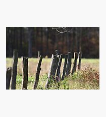 fence Photographic Print