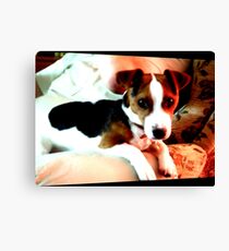 A doggy friend Canvas Print