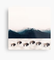 walk the line Metal Print