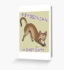Abyssinian- worst cat? Greeting Card