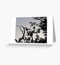 Roosting Greeting Card