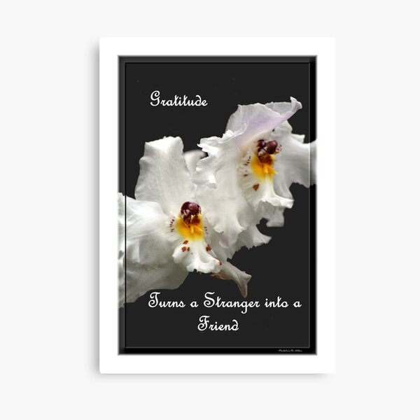 Gratitude Turns A Stranger Into A Friend Canvas Print