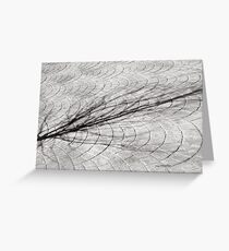 Winter Shadow Greeting Card