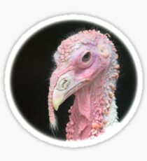 Turkey / Pute Sticker