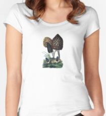 antique typographic vintage mushrooms toadstools Women's Fitted Scoop T-Shirt