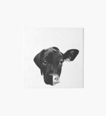 Animal Equality - (Black & White) Art Board