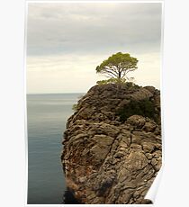 Credence Clear Water Survival Poster