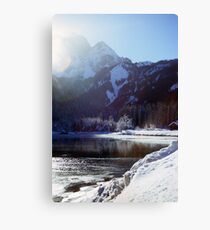 Dazzled Canvas Print
