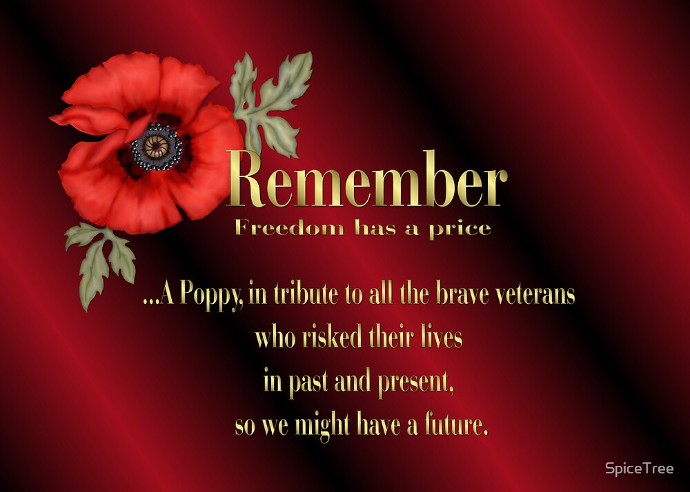 remember-veterans-poppy-by-spicetree-redbubble