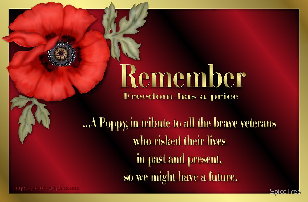 remember-veterans-poppy-by-spicetree-redbubble