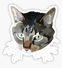 Pegatina Brown Tabby Cat