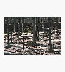Nelson's Ledges Photographic Print