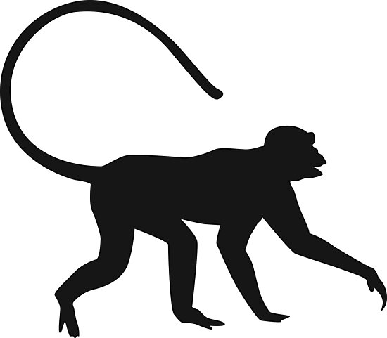 Download "Monkey silhouette" Photographic Print by maximgertsen ...