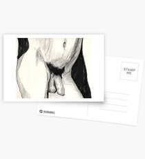 Male nude study Postcards