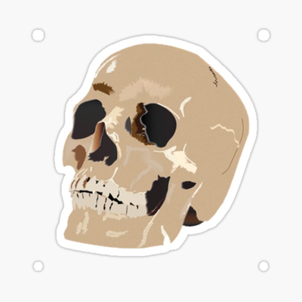 Skull Sticker