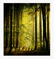 The Secret Parade Photographic Print