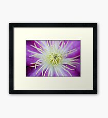 Flower Macro Framed Print