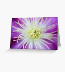 Flower Macro Greeting Card
