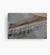 Rough Hewn Metal Print