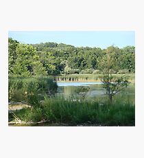 Nature Photographic Print