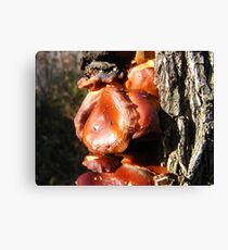 Sidekick Canvas Print