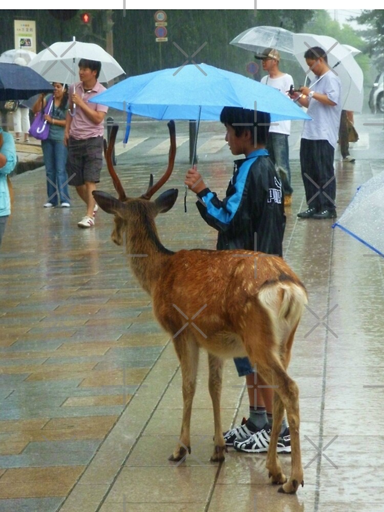 « Biche Nara Pluie » par Timena