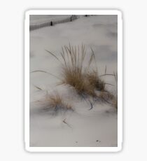 Dune Grass Sticker