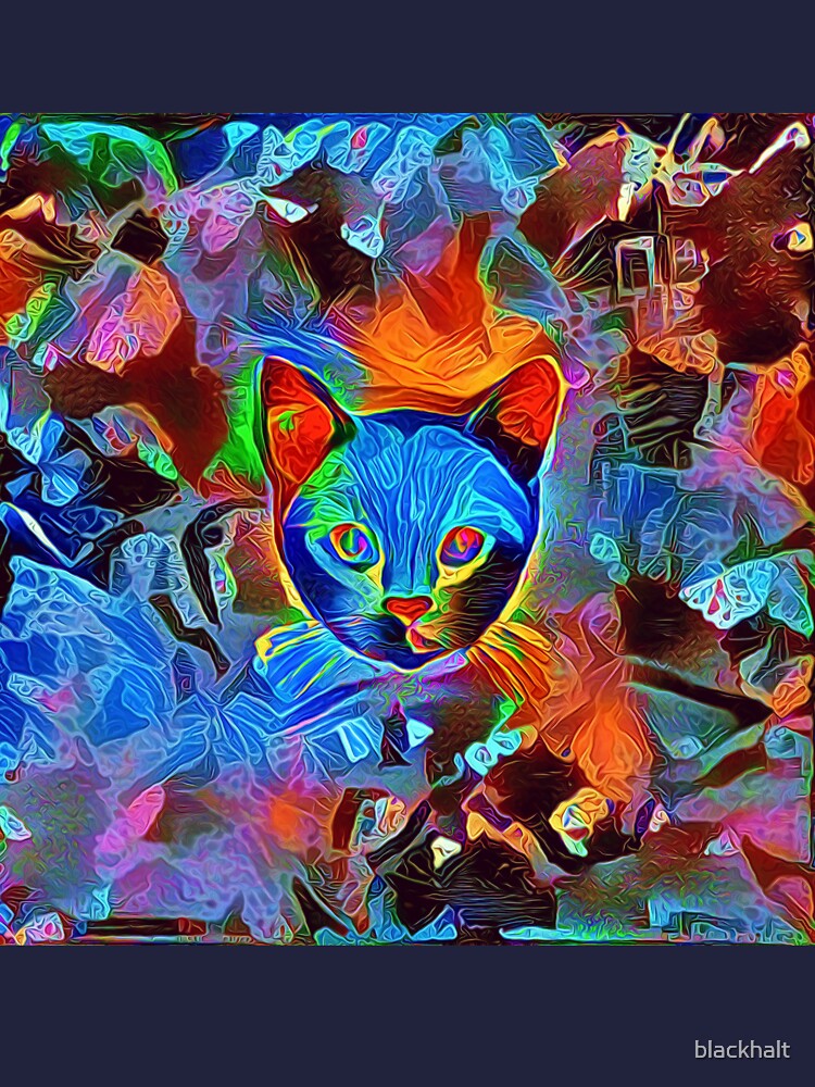 Black cat by blackhalt