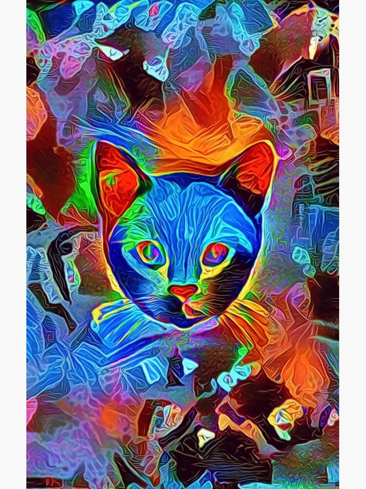Black cat by blackhalt