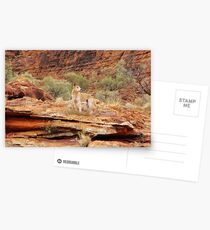 "My Land' Postcards