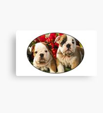 Boxers Canvas Print