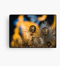 Minikin Canvas Print