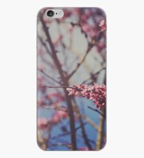 Sugar iPhone Case
